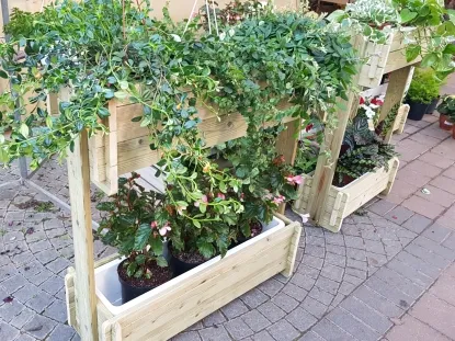 אדנית עץ 80 סמ בשתי קומות עם עציצי בישנית נאה בקומה העליונה ומיני בגוניה בקומה התחתונה  מימינה אד